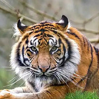 keepfocisboi - gay de 22 ans