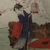 hexel77 - gay de 62 ans