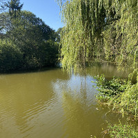 alexis85 - gay de 24 ans