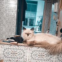 samrano - homme bisexuel de 46 ans