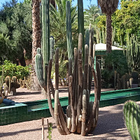 barbo49 - gay de 62 ans