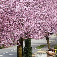 jerry56 - gay de 70 ans