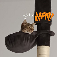 sucrette57 - femme bisexuelle de 44 ans