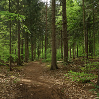 jm_en_chasse - gay de 59 ans