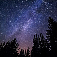 lfb98 - homme bisexuel de 46 ans