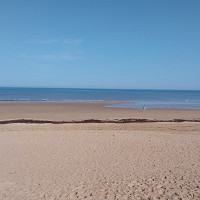 ptibou28 - homme bisexuel de 64 ans