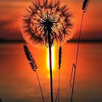 bastien138 - homme bisexuel de 27 ans