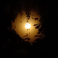 always - gay de 62 ans