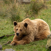 best_boy74 - homme bisexuel de 39 ans