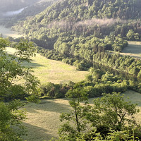 tame - homme bisexuel de 57 ans