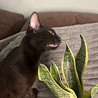 pauuul16 - gay de 18 ans