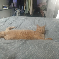 hermione26 - lesbienne de 21 ans