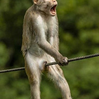 thortue17 - homme bisexuel de 54 ans