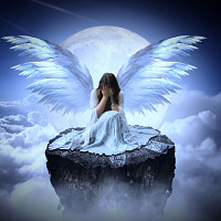 cupidon984 - homme bisexuel de 50 ans