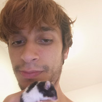 luigi_otarie - gay de 23 ans