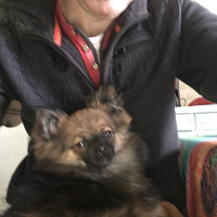 mandrago - homme bisexuel de 61 ans