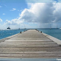 touba78et14 - gay de 60 ans