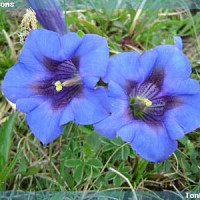 tontonroms - homme bisexuel de 51 ans