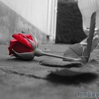 bahr19 - gay de 49 ans